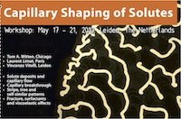 Capillary Shaping of Solutes